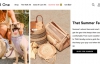 Wild One Official Site: Complete Set of Pet Essentials