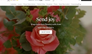 Bloom & Wild: Flowers & Plants by Post